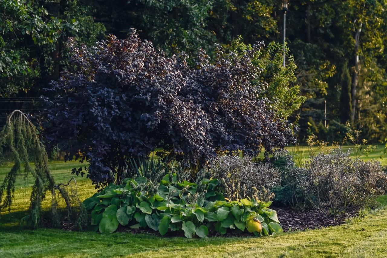 ホテル Eco Nieborów エクステリア 写真