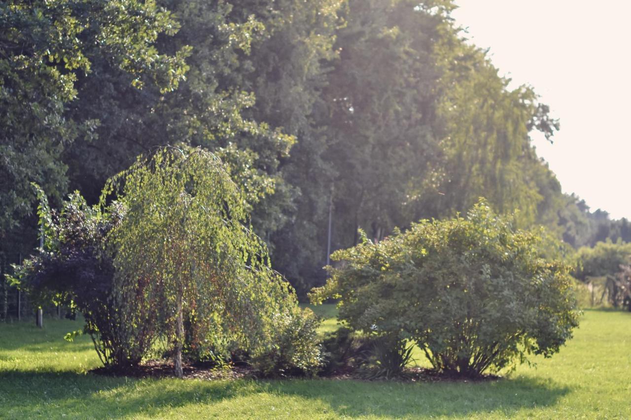 ホテル Eco Nieborów エクステリア 写真