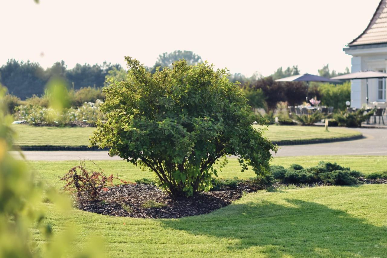 ホテル Eco Nieborów エクステリア 写真